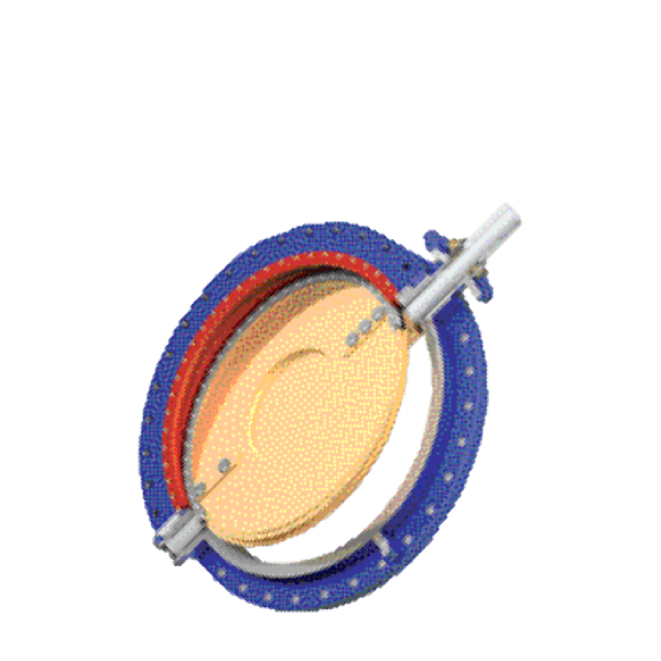 Betley Valve® - Softseal
